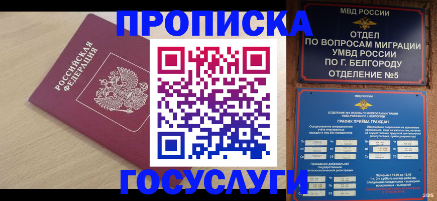 прописка законно в Белгороде